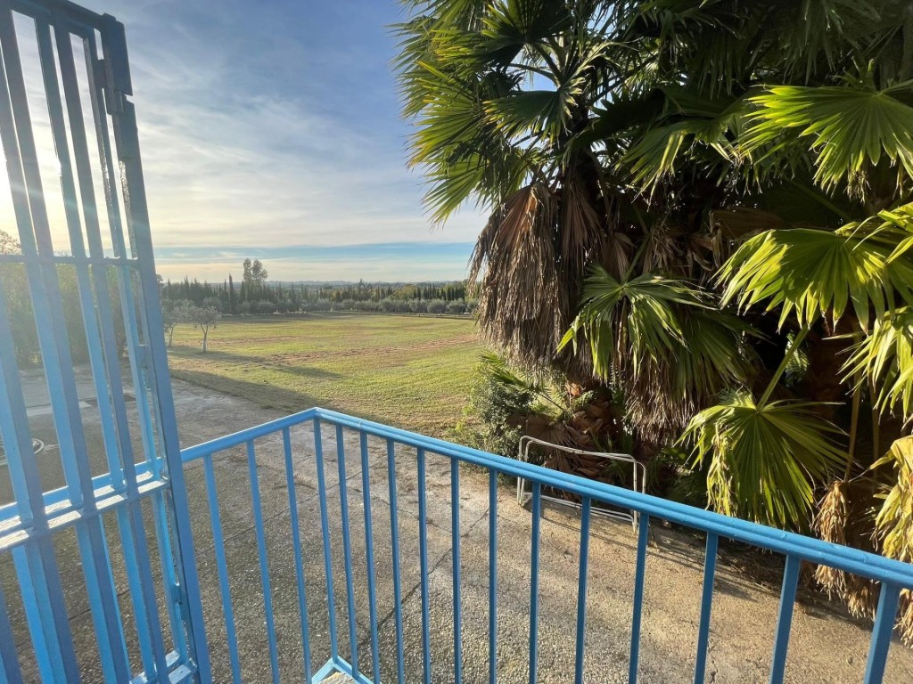 Finca Rústica de 4857 m2 en Jerez de la Frontera - foto 19