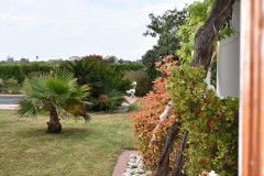 Foto17