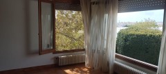 Foto7