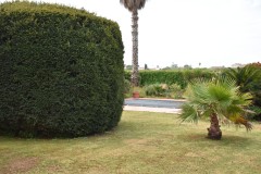 Foto5
