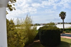 Foto20