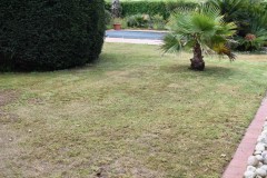 Foto19