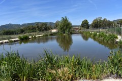Foto16