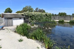 Foto10