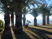 Foto3