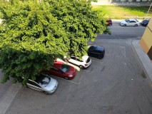 Foto6
