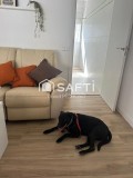 Foto9