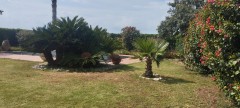 Foto3