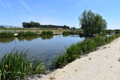 Foto4