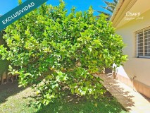 Foto34