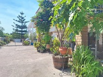 Foto10