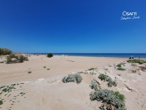 Foto36