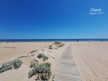 Foto35