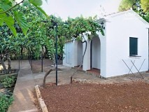 Foto12