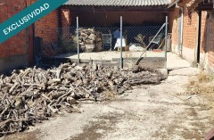 Foto5
