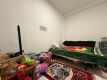 Foto45