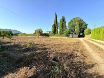 Foto11