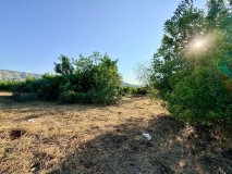 Foto9