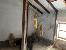 Foto19
