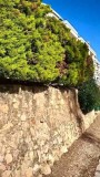 Foto29