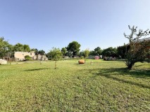 Foto8