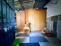 Foto43