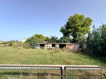 Foto46