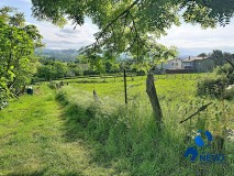 Foto10