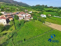 Foto4