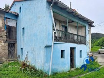 Foto1
