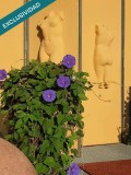 Foto4