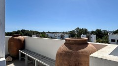 Foto8