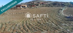 Foto3