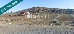 Foto4