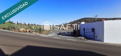 Foto8