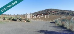 Foto5