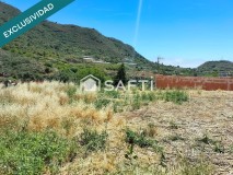 Foto5