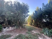 Foto14