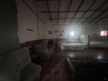 Foto19