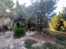 Foto24