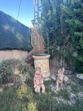Foto37