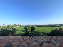 Foto41