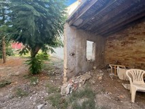 Foto19