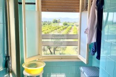 Foto23