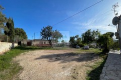 Foto3