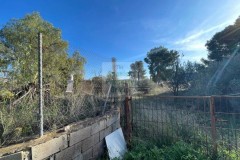 Foto8