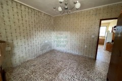 Foto36
