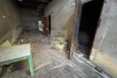 Foto42