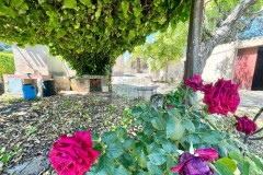 Foto32