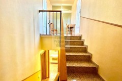 Foto8